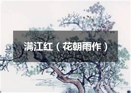 满江红(花朝雨作)
