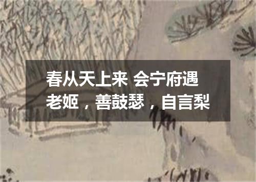 春从天上来 会宁府遇老姬,善鼓瑟,自言梨