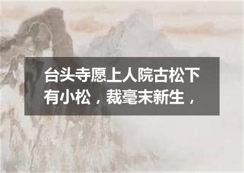 台头寺愿上人院古松下有小松,裁毫末新生,