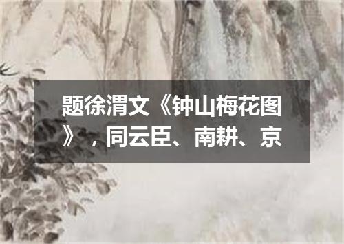 题徐渭文《钟山梅花图》，同云臣、南耕、京
