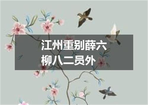 江州重别薛六柳八二员外