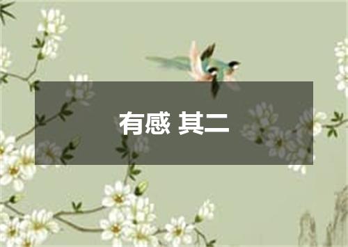 有感 其二