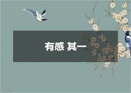 有感 其一