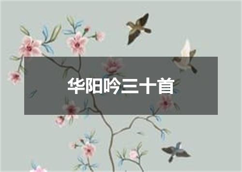 华阳吟三十首