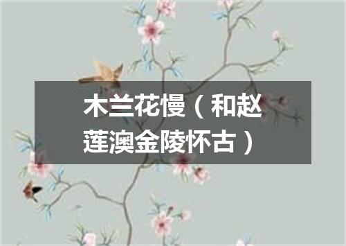 木兰花慢（和赵莲澳金陵怀古）