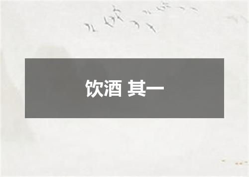 饮酒 其一