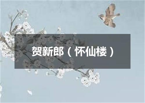 贺新郎（怀仙楼）