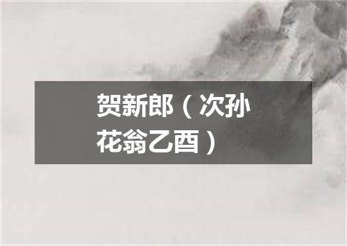 贺新郎（次孙花翁乙酉）