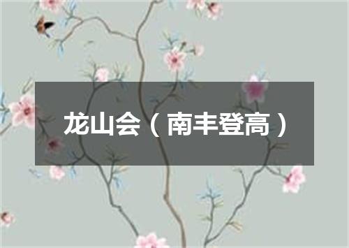 龙山会（南丰登高）