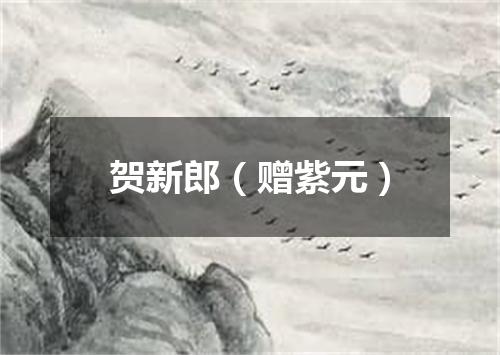 贺新郎（赠紫元）