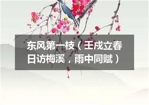 东风第一枝（壬戍立春日访梅溪，雨中同赋）