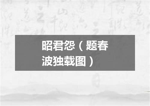 昭君怨（题春波独载图）