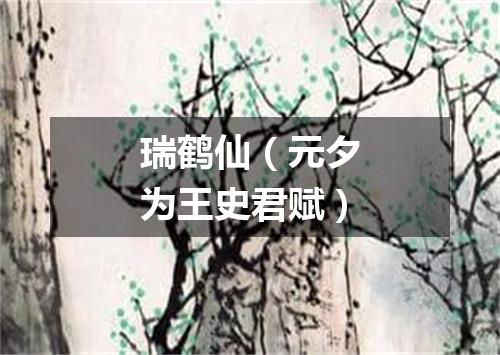 瑞鹤仙(元夕为王史君赋)