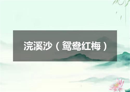浣溪沙（鸳鸯红梅）