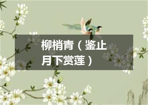 柳梢青（鉴止月下赏莲）