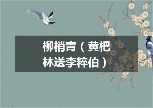 柳梢青（黄杷林送李粹伯）