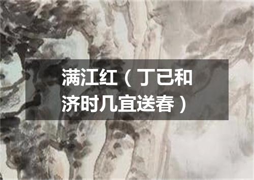 满江红（丁已和济时几宜送春）