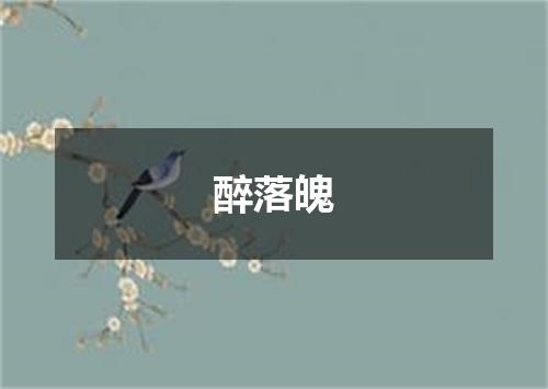 醉落魄