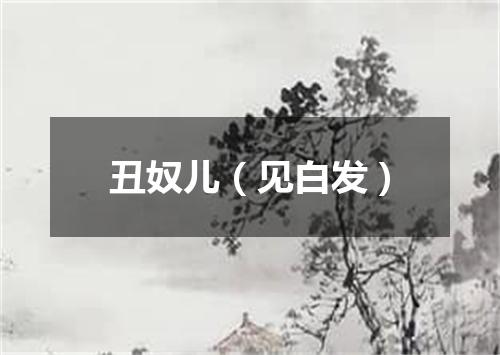 丑奴儿(见白发)