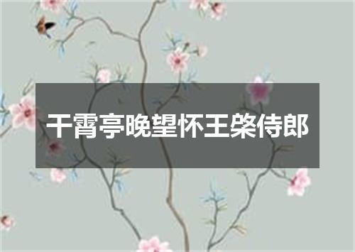 干霄亭晚望怀王棨侍郎