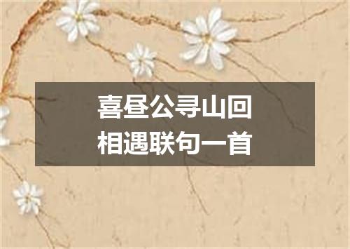 喜昼公寻山回相遇联句一首