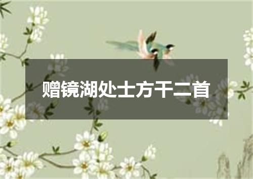 赠镜湖处士方干二首