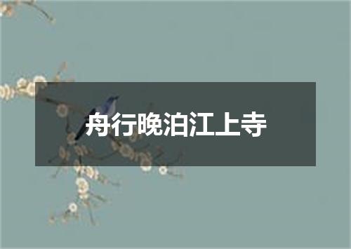舟行晚泊江上寺