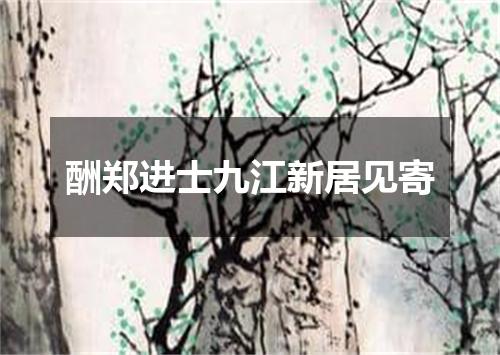 酬郑进士九江新居见寄