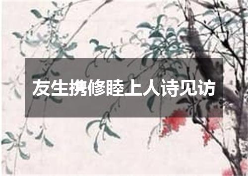 友生携修睦上人诗见访