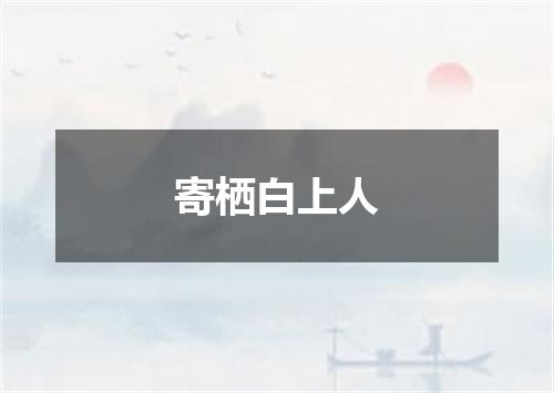 寄栖白上人