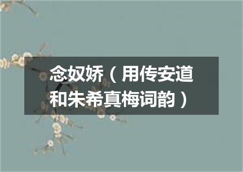 念奴娇（用传安道和朱希真梅词韵）