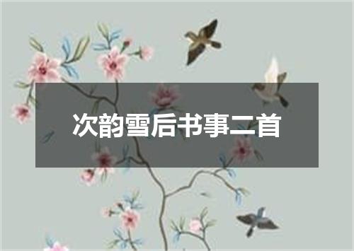 次韵雪后书事二首