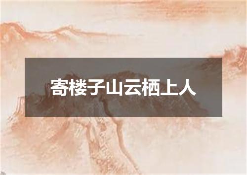寄楼子山云栖上人