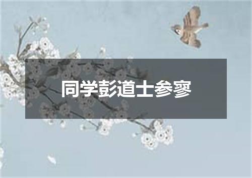 同学彭道士参寥