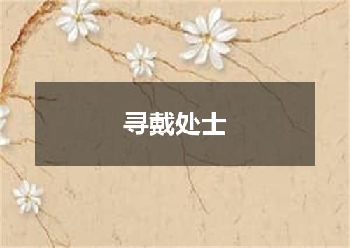 寻戴处士