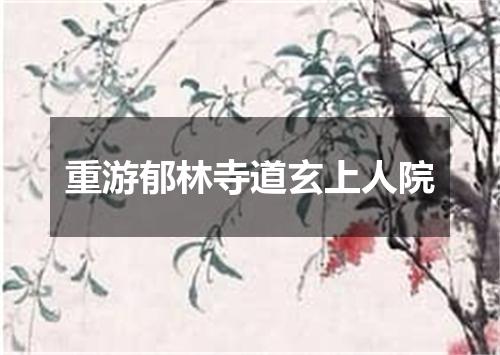重游郁林寺道玄上人院