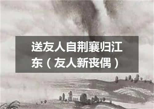 送友人自荆襄归江东(友人新丧偶)