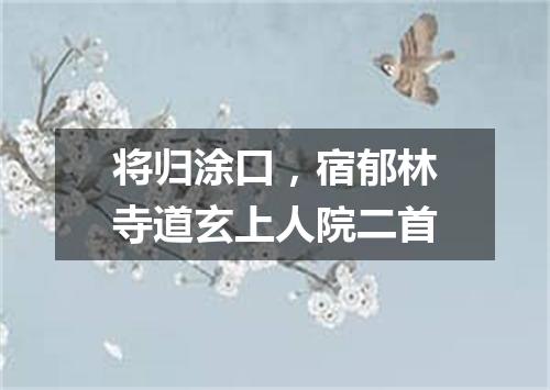 将归涂口，宿郁林寺道玄上人院二首