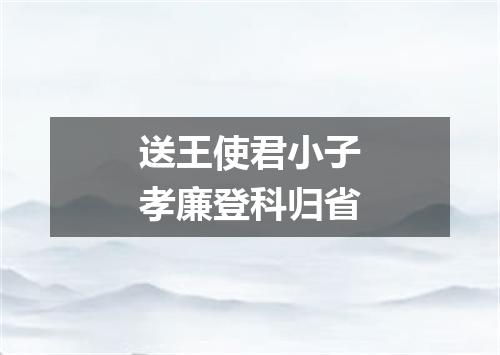 送王使君小子孝廉登科归省