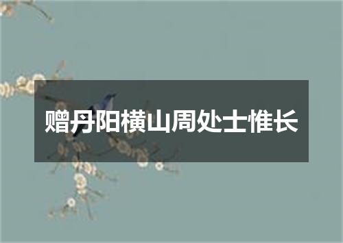 赠丹阳横山周处士惟长