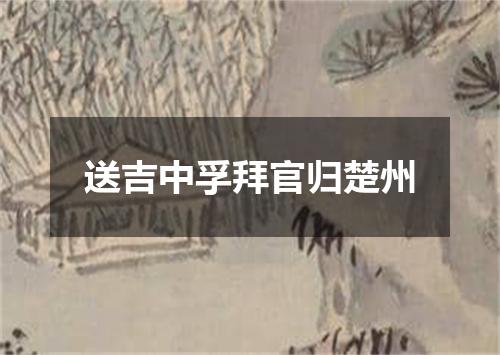 送吉中孚拜官归楚州
