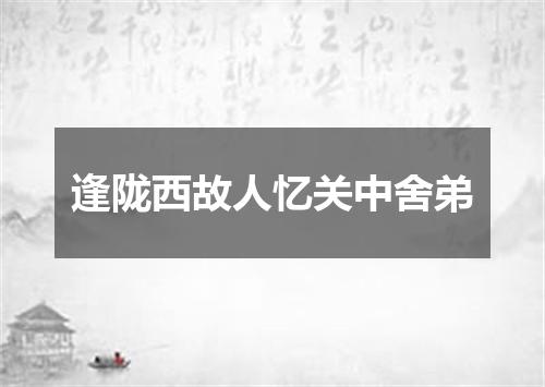 逢陇西故人忆关中舍弟