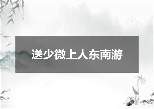 送少微上人东南游