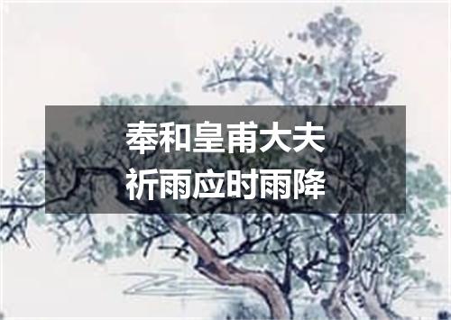 奉和皇甫大夫祈雨应时雨降