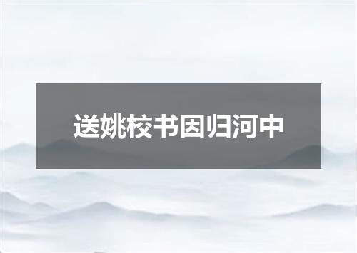 送姚校书因归河中