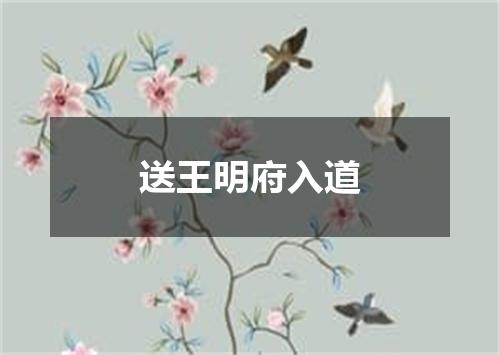 送王明府入道