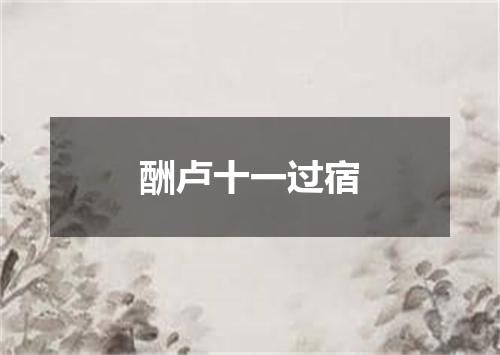 酬卢十一过宿