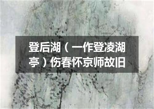 登后湖（一作登凌湖亭）伤春怀京师故旧
