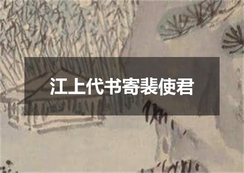 江上代书寄裴使君