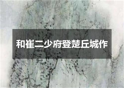 和崔二少府登楚丘城作
